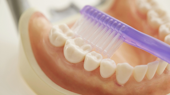 コラムは、E-A-Tを高める効果も